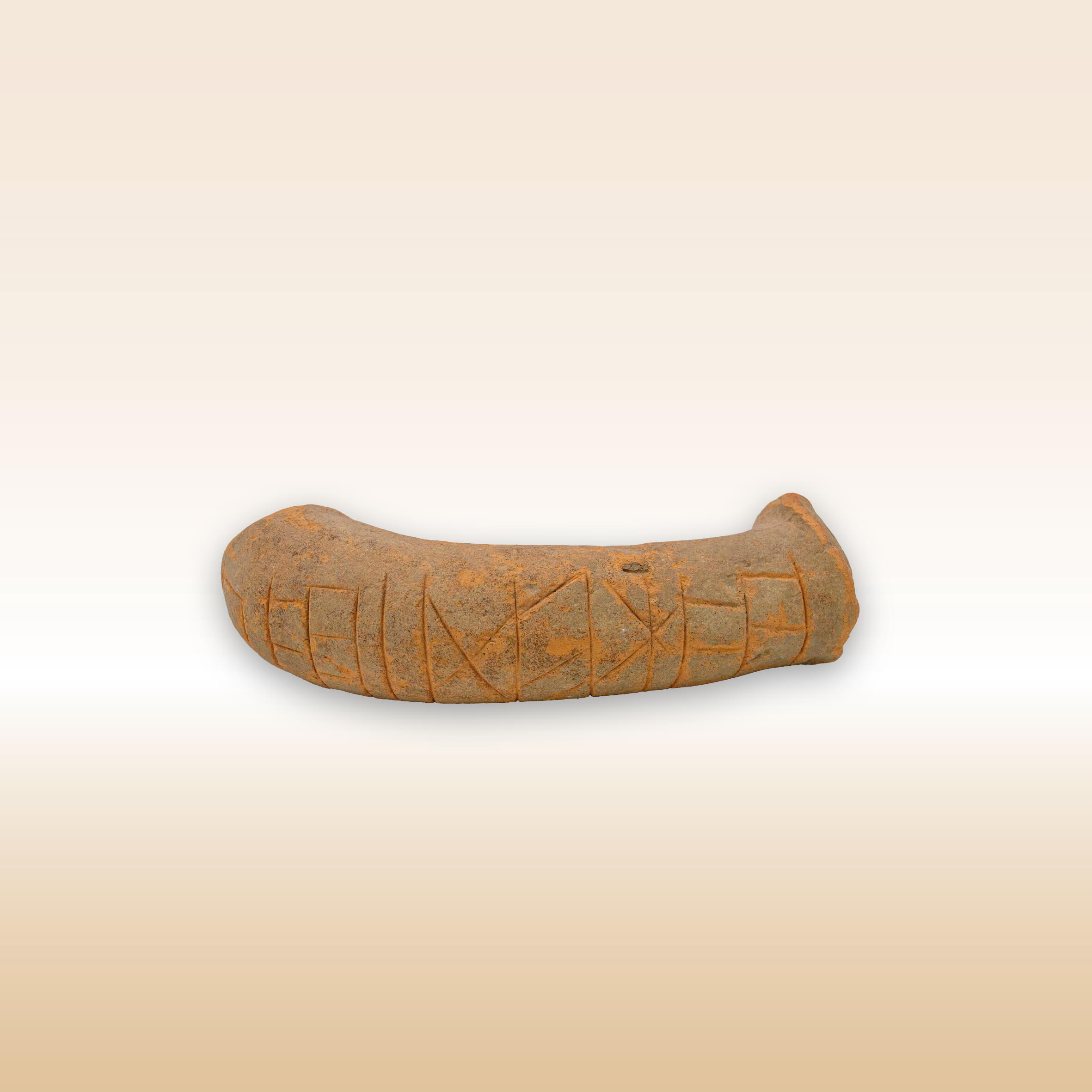 ANSA DI GRANDE CONTENITORE INCISA