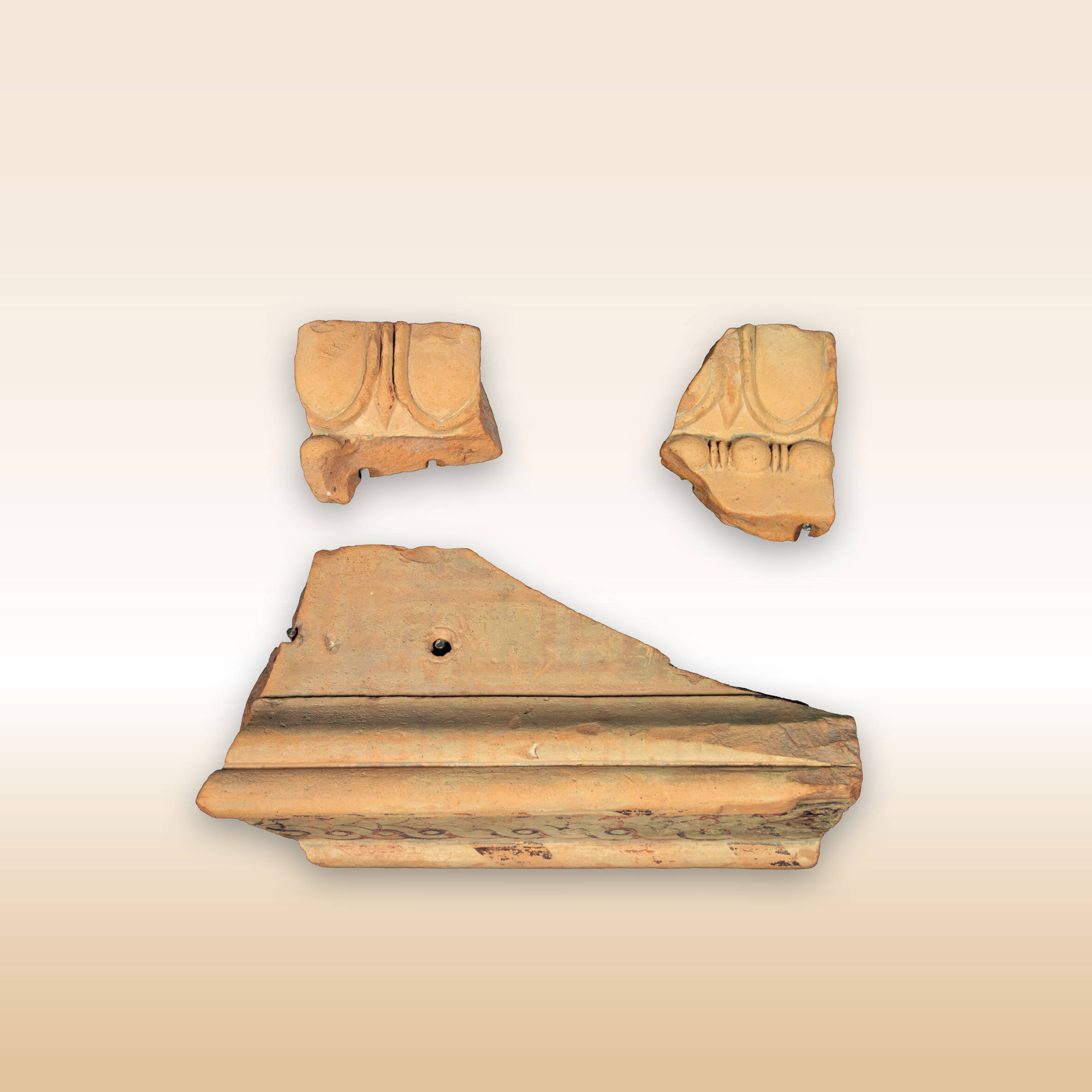 FRAMMENTI DI SIMA A OVOLI